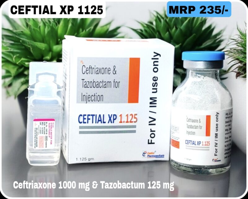 CEFTIAL XP 1125 INJ